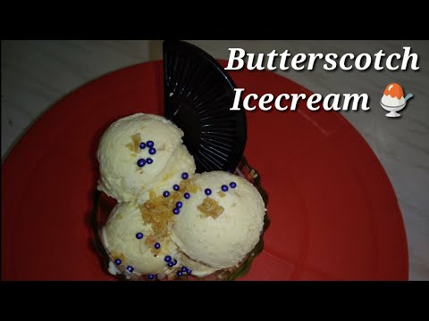 Butterscotch icecream //बटर स्कॉच आईस क्रीम //🍨🍨