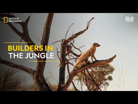 CIRP: Người mua iPhone ở Mỹ trả góp điện thoại nhiều hơn người mua Android