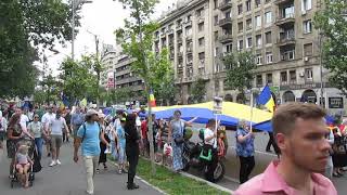 mqdefault - Galeria Video