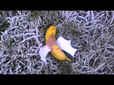 Hypernormal Activity.mpg