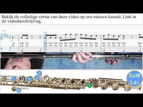 Fluit Leren Spelen Shakira - Acróstico Tablatura um-a-n799 voorvertoningen