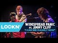Widespread Panic - "I Can See Clearly Now" I LOCKN' 2015 | Relix