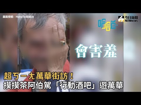 摸摸茶意思