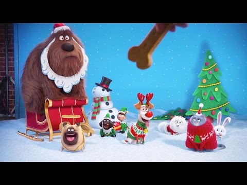 The Secret Life of Pets (2016) Teaser Trailer 2