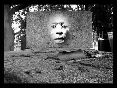 Life by Bradez (Official Video)