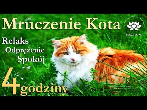 Mruczenie Kota, Muzyka Relaksacyjna - 4 godziny