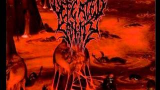 Defeated Sanity - Expectoration of Fear