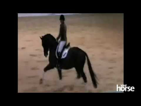 5 years old Valegro & Charlotte Dujardin - Your Horse Live Clinic