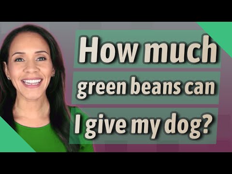 How much green beans can I give my dog?