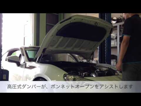 GReddy Engine Hood Lifter