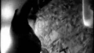 Born to Lose "Sweet Misery"