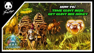 How To Tame GIANT BEES  - How To Tame GIANT BEE HONEY - Easy BEE HIVE | ARK: Survival Ascended