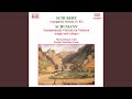Adagio & Allegro, Op. 70 (Arr. F. Grützmacher for Cello & Piano) : Adagio