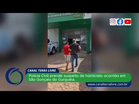 Polícia Civil prende suspeito de homicídio ocorrido em São Gonçalo do Gurguéia