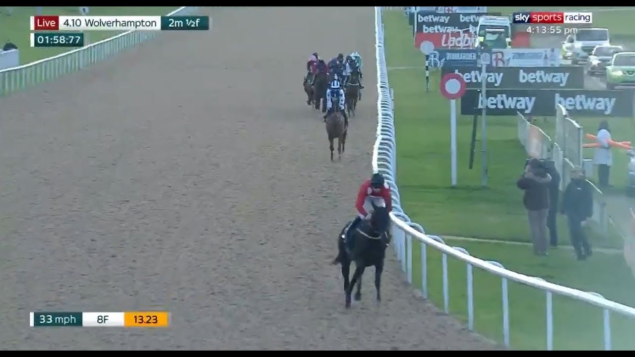 Watch video Extraordinary horse race at Wolves! Now Extraordinary horse race at Wolves!
