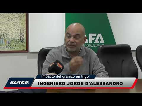 Marcos Juárez: Impacto de la última granizada en el desarrollo del trigo