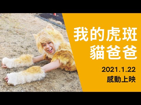 《我的虎斑貓爸爸》官方版中文長篇預告