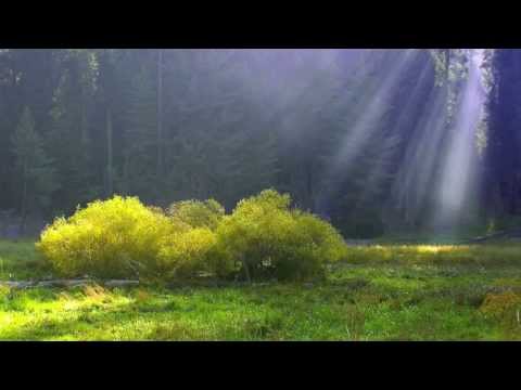 Tosiek Degutis - Beauty of Nature - Piękno Natury