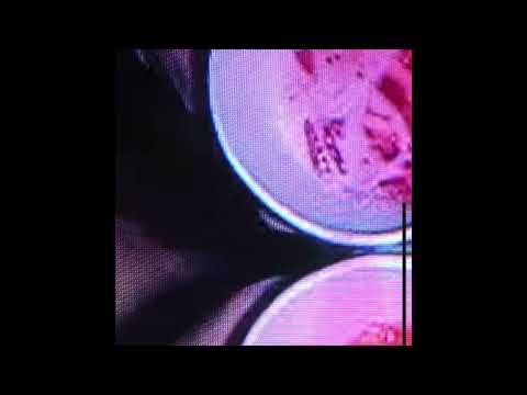 mayh3mp x capoxxo - cup on me