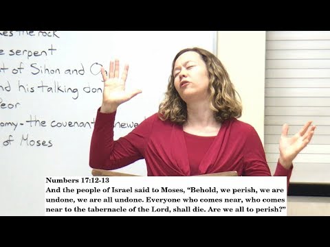 Moses and The Exodus 6.3 - Og, Sihon, Balak, Balaam, and the Death of Moses