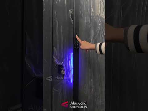 Gass pivot door1