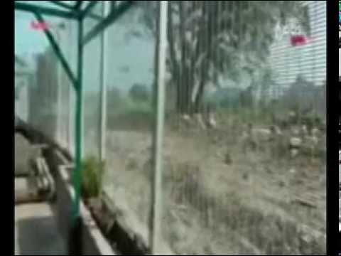 PPR Beringin..nak berniaga pun susah.. lawan tetap lawan