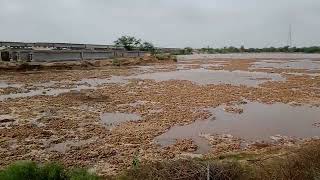 Heavy Rain Water Due to Cyclonic Storm Biparjoy in Rajasthan