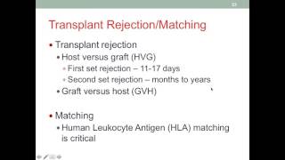 MNT Kidney Transplant