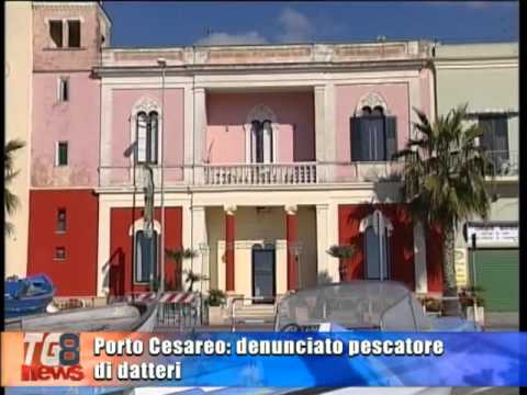 PESCATORE DI DATTERI DI MARE