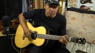 Video thumbnail for 2012 Gibson Custom Shop Keb Mo Bluesmaster, Sunrise pickup. by krispood