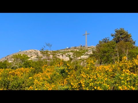 #Eire2021 #NurseOffDuty #FNI Exploring Ireland🇮🇪 2021 - Bray🍀