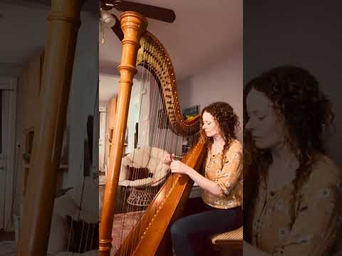 Promotional video thumbnail 5 for Pamela Bruce
