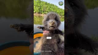 ¡Este pequeño llegó con hambre y se robó el pescado!