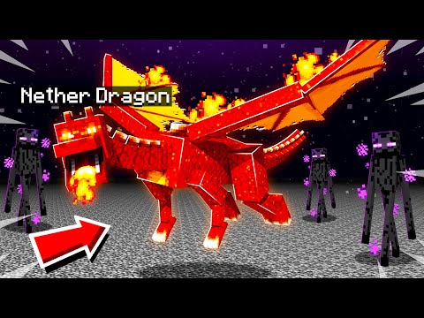 I TAMED a SECRET NETHER DRAGON in MINECRAFT NETHER DIMENSION!
