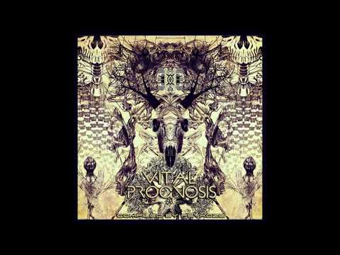 NIBIRU - Complex Reaction (194)