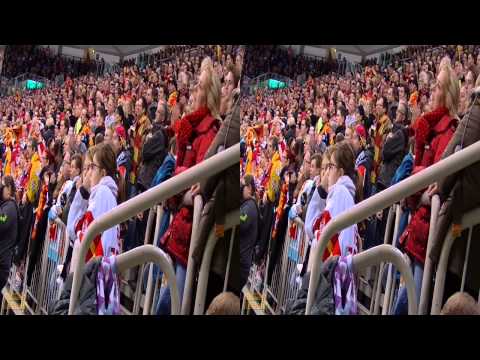 "3D-Version" Düsseldorfer EG vs ERC Ingolstadt 3-1 (Impressionen 30.01.2015)