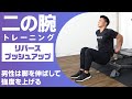 【自宅で筋トレ】理想の二の腕をつくるトレーニング(男女ともにオススメ!)