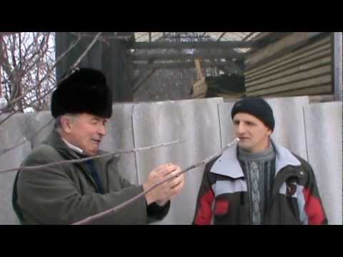 1. Sfaturi despre iernatul in Bio Stup Ioan Ursu si expandarea graduala din primavara 1/4