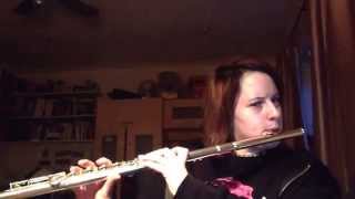 In The Morning- The Nearly Deads- Flute Cover