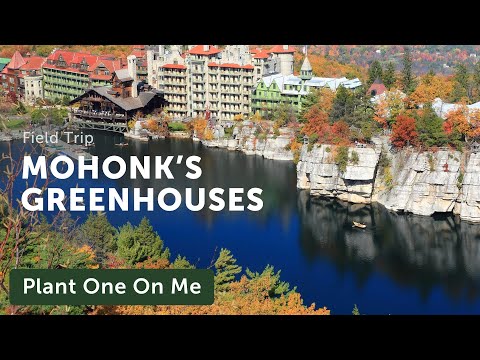 MOHONK'S GREENHOUSE Tour — Ep. 191