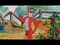 The New Adventures Of Winnie The Pooh S01E08 Stripes Review