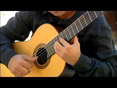 Somewhere My Love (Lara's Theme from Dr. Zhivago) guitar arrangement by Nemanja Bogunovic