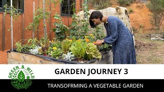 My gardening journey 3: creating a low maintenance and productive vegetable garden