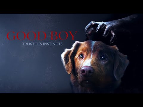 Unboxing ~ Good Boy Trust his instincts DVD ~ Leonine (German)