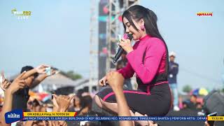 Download lagu satu rasa cinta - cantika nuswantoro || Om Adella live blimbing Kosambi Tangerang #siang mp3