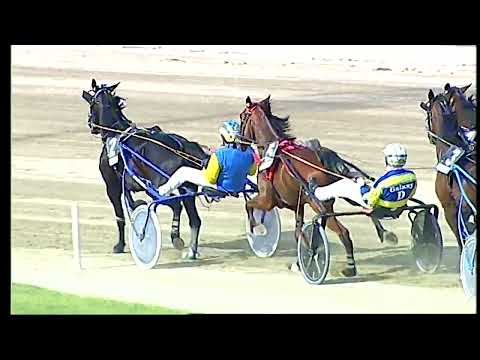 Napoli Trotto 29/04/2022 - 6ª corsa