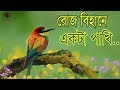 রোজ বিহানে একটা পাখি। Islamic song roj bihane ekta pakhi Allah Allah dake ........