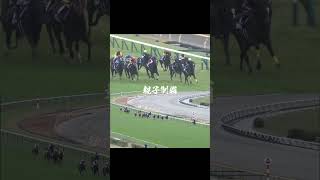 親子制覇‼️＃キタサンブラック＃イクイノックス＃ジャパンC＃競馬＃親子制覇＃ #jra
