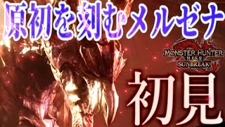 【初見ソロ！】お久しぶりです✨原初を刻むメルゼナ【MHrise・サンブレイク】