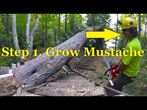 Arborist Techniques: Tension/Compression 5 Step technique for big wood 